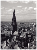 11_muenster